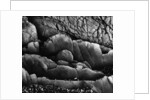 Beach Rocks by Brett Weston