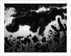 Frozen Liquids by Anonymous