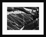 Marble by Anonymous
