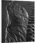 Beach Stream by Brett Weston