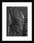 Beach Stream by Brett Weston