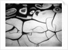 Cracks in Mud by Anonymous