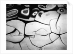 Cracks in Mud by Anonymous
