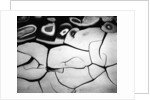 Cracks in Mud by Anonymous