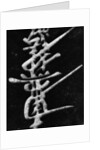 Calligraphy on Stone by Anonymous