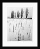 Snowy Landscape by Anonymous