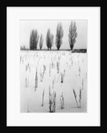 Snowy Landscape by Anonymous