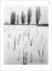 Snowy Landscape by Anonymous