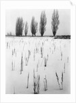 Snowy Landscape by Anonymous