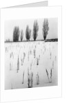 Snowy Landscape by Anonymous