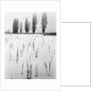 Snowy Landscape by Anonymous