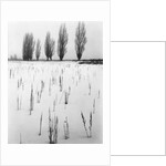 Snowy Landscape by Anonymous