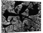 Cracked Surface by Anonymous