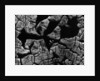 Cracked Surface by Anonymous