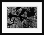 Cracked Surface by Anonymous
