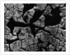Cracked Surface by Anonymous