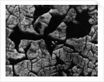 Cracked Surface by Anonymous
