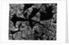 Cracked Surface by Anonymous