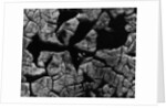 Cracked Surface by Anonymous