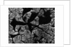 Cracked Surface by Anonymous