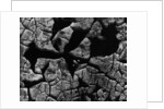 Cracked Surface by Anonymous