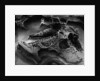 Rock Erosion by Anonymous