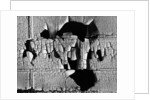 Peeling Paint by Anonymous