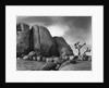 Desert Boulders by Anonymous