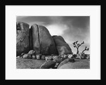 Desert Boulders by Anonymous
