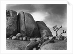 Desert Boulders by Anonymous