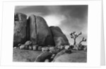 Desert Boulders by Anonymous