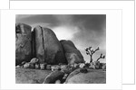 Desert Boulders by Anonymous