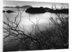 Cliff Overlooking Bay by Anonymous