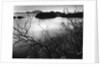 Cliff Overlooking Bay by Anonymous