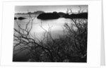 Cliff Overlooking Bay by Anonymous