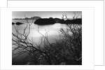 Cliff Overlooking Bay by Anonymous