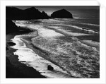 Beach Waves by Anonymous