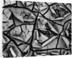 Mud Cracks by Brett Weston