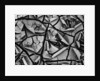Mud Cracks by Brett Weston