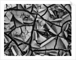 Mud Cracks by Brett Weston