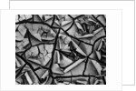 Mud Cracks by Brett Weston