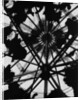 Wigwam Incinerator Interior by Anonymous