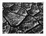 Dry Cracked Mud by Anonymous