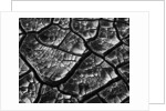 Dry Cracked Mud by Anonymous
