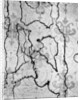 Stained Wallpaper by Anonymous