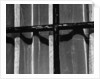 Window With Curtains, 1972 by Anonymous