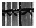 Window With Curtains, 1972 by Anonymous