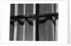Window With Curtains, 1972 by Anonymous