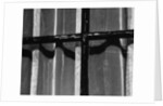Window With Curtains, 1972 by Anonymous