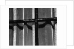 Window With Curtains, 1972 by Anonymous